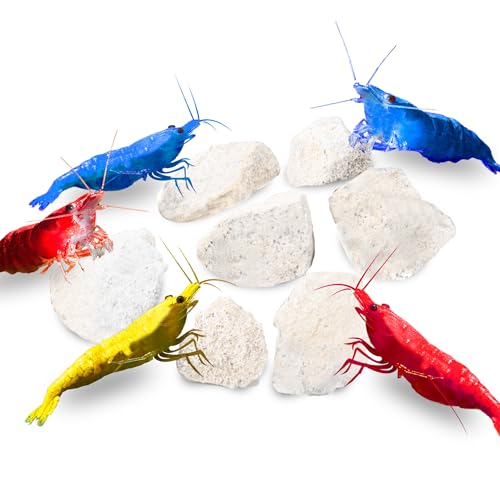 JOR 2 oz Hermit Crab Rocks, Natural Calcium Stones for Shrimp Tank Kit, Crab Decor Accessory, Rock Source for Crabs, Snails & Shrimp, Suitable for Marine Tanks, Freshwater Use & Terrarium Habitats