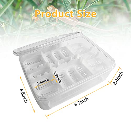 16-Grid Reptile Breeding Box - Professional Plastic Incubator for Gecko, Lizard & Mane Hatching