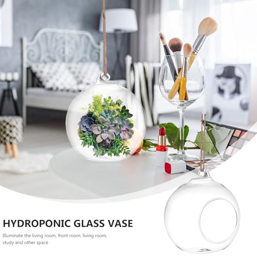 SUPVOX 6-Pack Hanging Glass Terrariums 4 Inch Orb Succulent Plant Holders with Rope for Indoor Outdoor Home Decor Tabletop and Wall Mounted Mini Garden Display