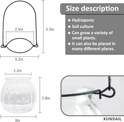 XUNSAIL Terrarium Plants Glass Air Plant Hanging Terrarium Plants Glass Home Decor Vase Wall Hanging Pots (6 PCS Air Plant