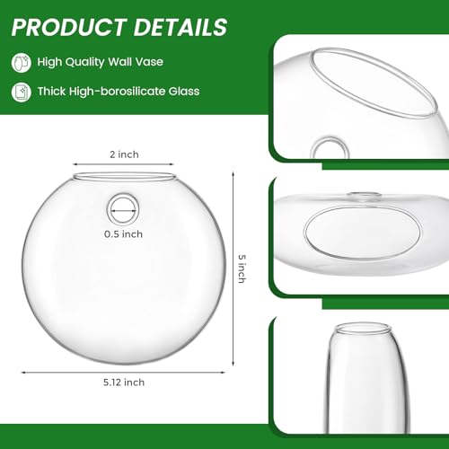 DomeStar Set of 2 Wall Vases, Wall Mounted Propagation Station | Hanging Glass Vases, Terrarium Station for Hydroponics, Plants Home Office Decor (5 Inch) - size: 2pcs
