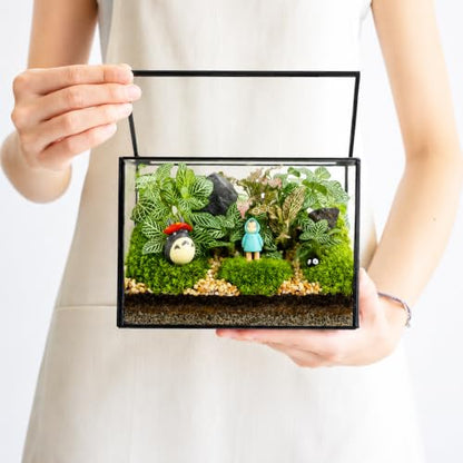 Small Glass Terrarium with Lid, Rectangle Geometric Planter Box, Clear Glass Container for Succulents, Moss, Air Plants, Ferns, Cactus, Tabletop Plant Display Decor, 6.7 x 3.9 x 4.7 in - size: Small Rectangle
