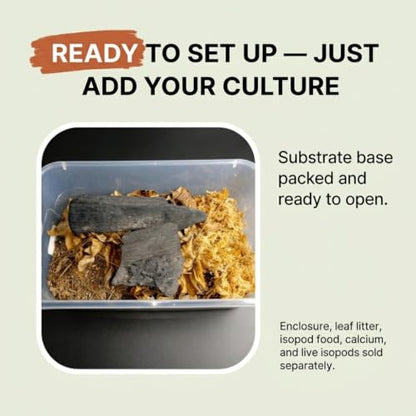 Premium Isopod Habitat Kit | Live Isopod Bundle Cleanup Crew | Live Arrival Nationwide!