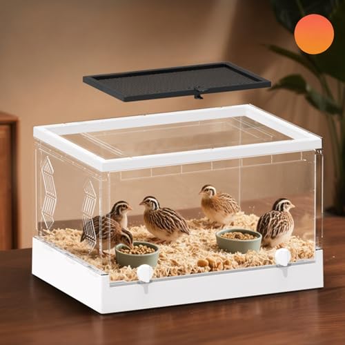Reptiles Keeper Tanks with Removable Lid and Feeding Port Enclosure Ventilated Design Portable Reptiles Feeding Station