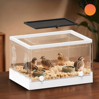 Reptiles Keeper Tanks with Removable Lid and Feeding Port Enclosure Ventilated Design Portable Reptiles Feeding Station