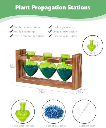 Nacome Plant Terrarium with Wooden Stand, 3 Heart Bulb Glass Vases | Wooden Stand Tabletop for Air Planter, Gifts for Mom Plant Lovers Mom Women Wife Grandma - color: Green