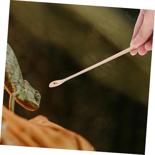 Toddmomy 2Pcs Reptile Feeding Spoon Durable Stainless Steel Spoons for Wet Food for Lizards Turtles and Small Animals Design Reusable and Easy to Clean