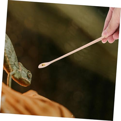Toddmomy 2Pcs Reptile Feeding Spoon Durable Stainless Steel Spoons for Wet Food for Lizards Turtles and Small Animals Design Reusable and Easy to Clean