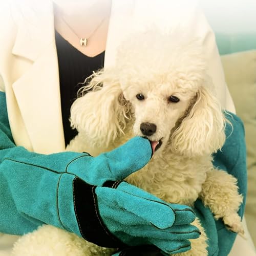Protective leather anti-bite animal handling gloves for dogs, cats and reptiles, long scratch-resistant design - size: 60cm-verde