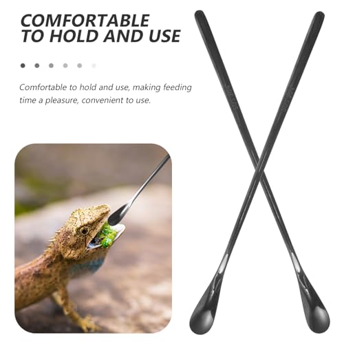 POPETPOP 2pcs Reptile Food Spoon Stainless Steel Lizard Feeding Scoop Small Animal Water Food Feeder for Lizards Chameleons and Other Pets - color: As Shown 1