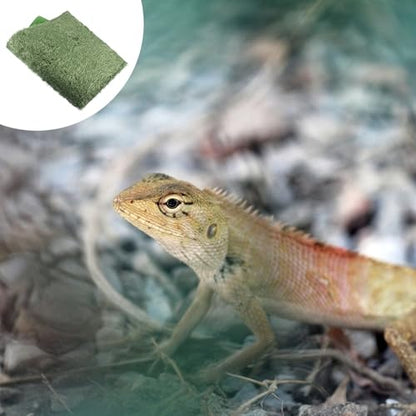 FRCOLOR 2pcs Reptile Habitat Carpet Mat Simulation Moss Terrarium Substrate Liner for Lizards Turtles Snakes Moisture-Resistant Easy-Clean Reptile Habitat Pad