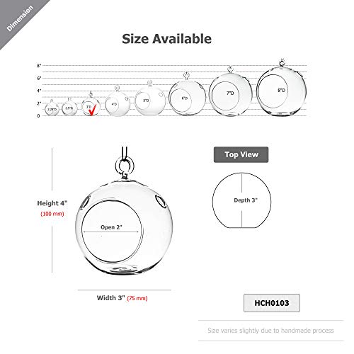 WGV Hanging Terrarium Globe, Width 3", Height 4", DIY Air Succulent Planter, Clear Glass Vase Orb with Flat Bottom, Candle Holder for Windowsill Outdoor Garden Decor, 1 Piece - size: 3" Flat Bottom