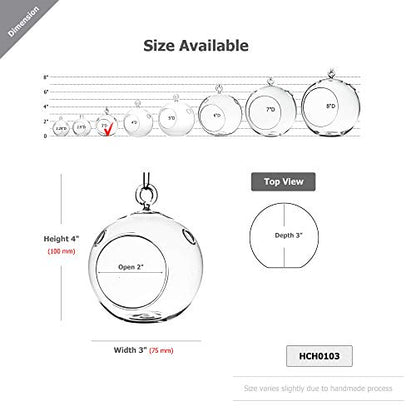 WGV Hanging Terrarium Globe, Width 3", Height 4", DIY Air Succulent Planter, Clear Glass Vase Orb with Flat Bottom, Candle Holder for Windowsill Outdoor Garden Decor, 1 Piece - size: 3" Flat Bottom