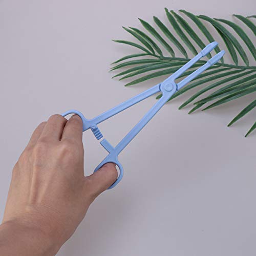 BESPORTBLE 1pc Pet Stool Clamp Plastic Pet Cleaning Supplies for Reptiles Birds Stylish Scissors Shape Design Easy to Use Essential Tool for Lizard Turtle - size: Size 1