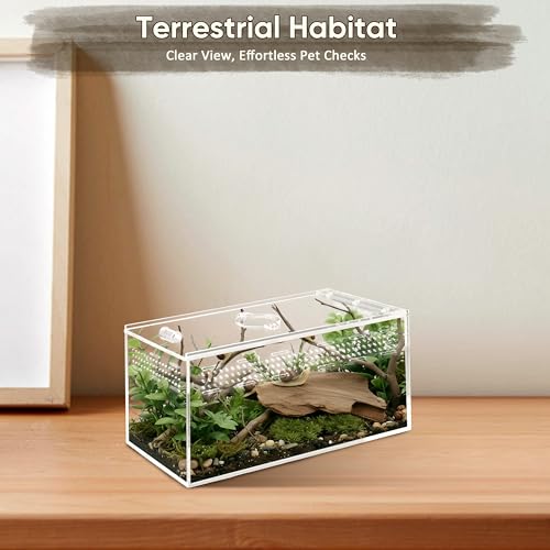 Jumping Spider Enclosure Set, Terrestrial Arboreal Combo, Acrylic Tarantula Terrarium, Praying Mantis Habitat, No Assembly, 2-Size Kit, Medium - size: Medium