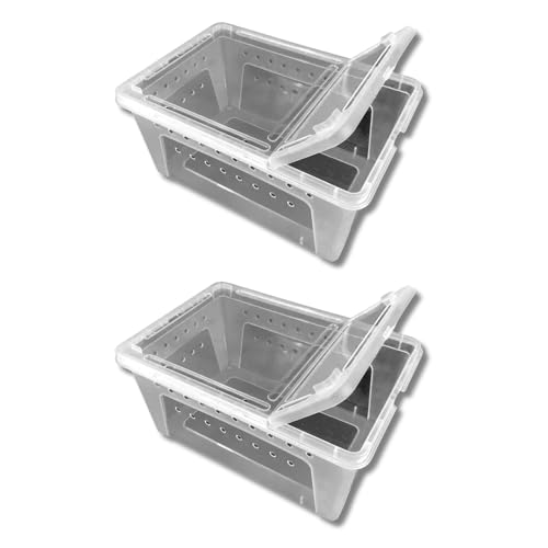 Jungle Bob - Clear Plastic Reptile Terrarium Box - Easy Pet Transportation - Enclosure for Small Herps - Side Ventilation - Clear View - Fade Resistant - Large - 12.5" x 8.5" x 6" (2 Pack) - size: Large, style: 2 Pack