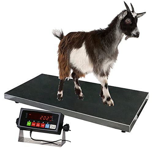 700lbs Vet Animal Scale/Livestock Scale, Digital Weighing Equipment for Small to Medium Sized Animals Calf/Goat/Sheep/Pigs/Dogs/Cat or Pets (38″ x 20″ x 2″) - size: 38″ x 20" x 2″