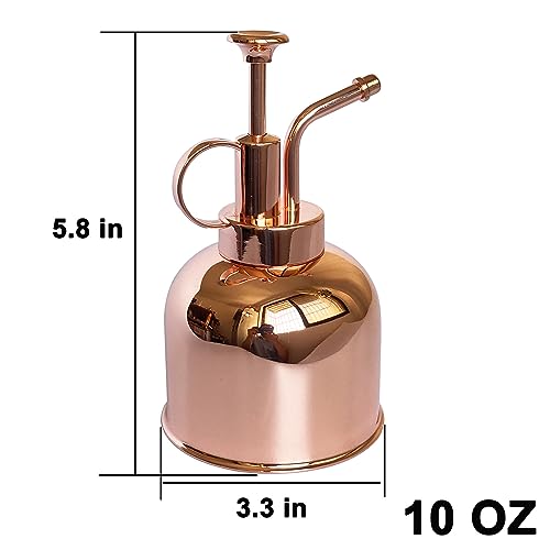 Plant Mister Spray Bottle Stainless Steel Plant Sprayer, Small Watering can Plant Spray Bottle Modern Gardening Tools for Indoor Potted Plants Watering and Spraying - color: 10oz/ Rose Gold