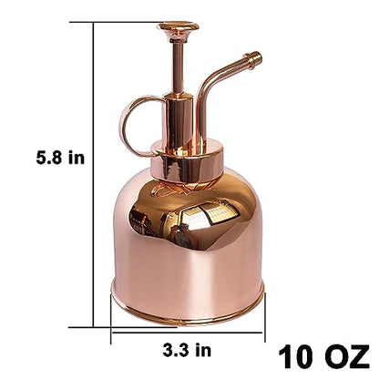 Plant Mister Spray Bottle Stainless Steel Plant Sprayer, Small Watering can Plant Spray Bottle Modern Gardening Tools for Indoor Potted Plants Watering and Spraying - color: 10oz/ Rose Gold