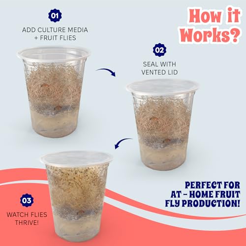 Snout and Shell Deli Cups with Fabric Vented Lids, 10 Pack - Secure Fruit Fly & Insect Cultures, Prevent Escapes & Contaminants, Easy Fruit Fly Media Preparation, Hot Liquid Safe - size: 32oz/10 cups