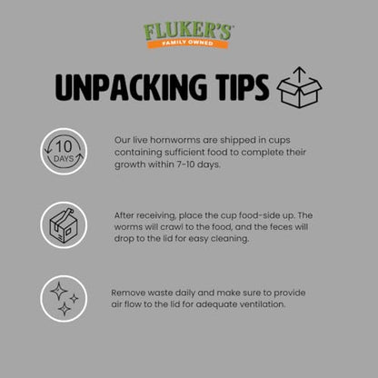 Fluker's Hornworms 24 Count - Reptile and Chicken Food - size: 24 Count (Pack of 1)