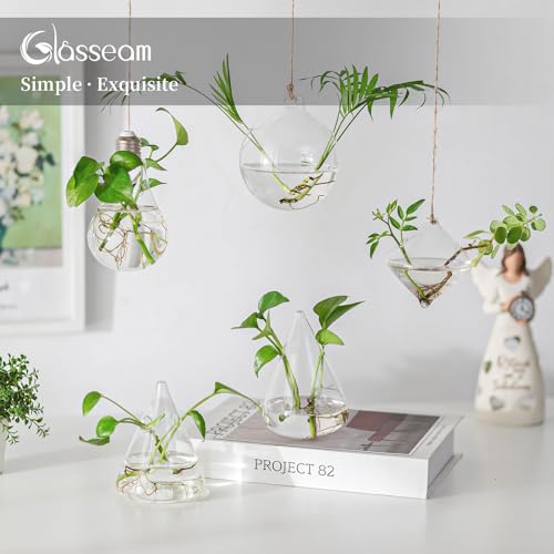Glasseam Hanging Plant Propagation Station: 5Pcs Small Glass Terrarium Jars | Hydroponic Planters for Indoor Pothos Cutting Propagate, Home Wall Window Decor, Handmade, Gifts for Plant Lovers