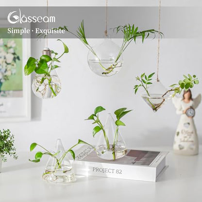 Glasseam Hanging Plant Propagation Station: 5Pcs Small Glass Terrarium Jars | Hydroponic Planters for Indoor Pothos Cutting Propagate, Home Wall Window Decor, Handmade, Gifts for Plant Lovers