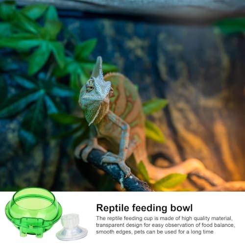 Reptile Feeding Bowl Suction Cup Anti-Escape Food Dish | Anti-Escape Worm Live Fodder Translucent Container for Lizard Gecko Snake Frog Turtle Tortoise Spider Habitat