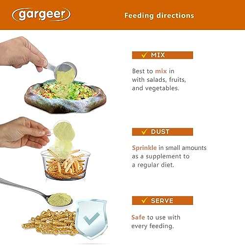 Gargeer 2oz Bearded Dragon Salad Topper. Enhanced Appetite, Made in USA | Enhances dragon salads & veggies! Rich in calcium, D3, amino acids & vitamins for robust digestion & vibrant health - size: 2 Ounce (Pack of 1)