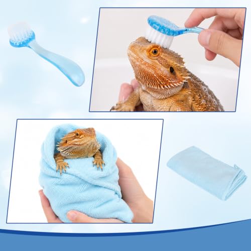 Foldable Bearded Dragon Bathtub, 50x10cm/19.69x3.94in Portable Small Pet Water Tub with Soft Brush and Towel for Bearded Dragons Turtle Hedgehogs Hamsters (Blue)