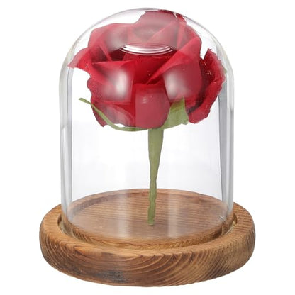 uxcell Glass Cloche Display Dome, 3.9" x 3.1" Glass Dome Display Case, Wood - size: 3.9" x 3.1"