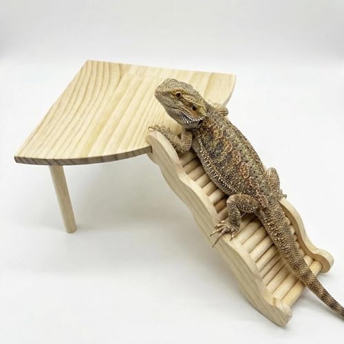 2-in-1 Fan-Shaped Wooden Basking Platform with Anti-Slip Ramp and Hideout, Easy Assembly Terrarium Accessories for Bearded Dragon, Leopard Gecko, Small Reptiles & Amphibians (Natural Wood Tone)