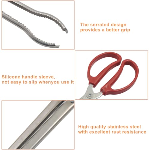 15 Inch Snake Feeding Tongs, Curved Tip, Red | Snake Enclosure Accessories, Long Tweezers, Stainless Steel, Non-Slip Handle, For Reptile, Aquarium, Fish Tank - size: 14.6In