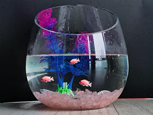 ZHIYUXI Rose Quartz Chips Fish Tank Gravel Vase Filler Stones Bulk Crushed Crystals Gemstone Polished Natural Quartz Stone Healing Crystals Glass Stones Fish Rocks - color: D# Rose Quartz, size: 0.22lbs