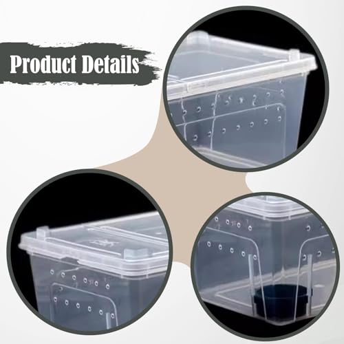 Reptile Breeding Case Feeding Box Terrarium Animal Transparent PP Container Easy Observation Suitable for Pet Hatching Transport Breeding, 27x19x12cm - size: 27x19x12cm