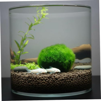 Plantas Naturales, 4-Pack Live Marimo Moss Balls, 2.7-2.9cm After Soaking - Natural Aquarium Plants for Fish Tank Decor & Ecological Bottles, Marimo Planta Viva