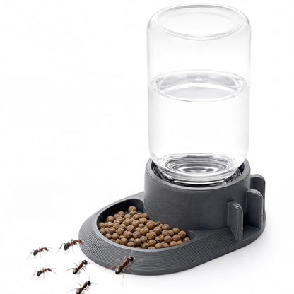 2-in-1 Ant Feeder & Waterer 10ml (Gray) – Dual Purpose Water Dispenser and Food Tray for Ant Farms