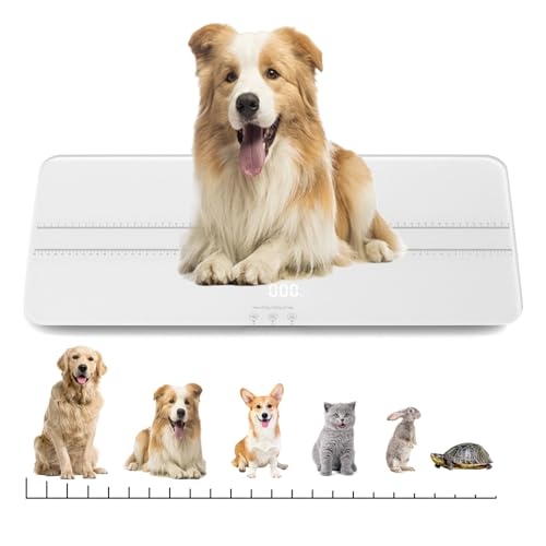Digital Pet Scale Measuring Range 0.45lbs-220lbs Digital Pet Scale for Small-Medium Dogs/Large Cat Dog Scale is not Suitable for Large Dogs (White) - color: white