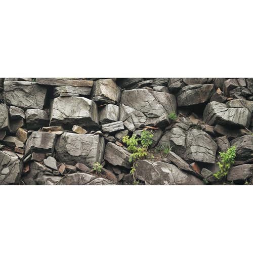 36X18IN Stone Aquarium Background, Rock Fish Tank Background, Natural Rocky Glass Terrarium Background with 8 EVA Double-Sided Tape - color: Stone, size: 36X18in/90X45cm