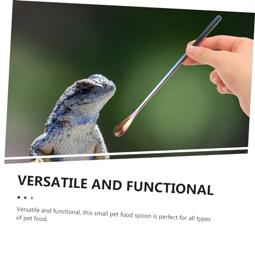 Toddmomy 2Pcs Stainless Steel Lizard Feeding Spoon Long Handle PET Food Scoop for Reptiles and Small Animals Sturdy and Easy to Use Feeding Tool