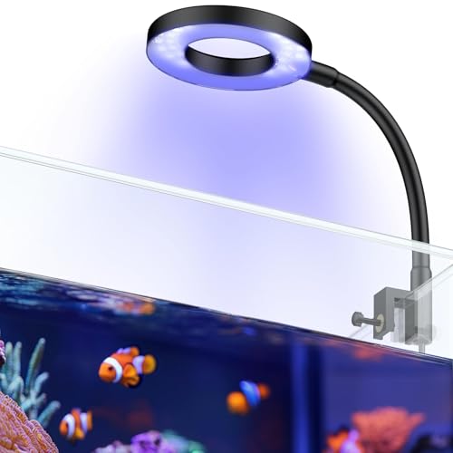 Pawfly Aquarium Light for 1-3 Gallon Saltwater Fish Tanks, Clip On LED Reef Light for Corals, Dimmable USB Aquarium Lamp with Full Spectrum Lighting and Timer (Adapter Not Included) - size: For 1 to 3 Gallon Fish Tank
