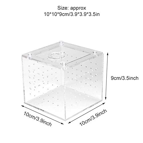 Reptile Breeding Box Acrylic Terrarium Transparent Durable Enclosure with Ventilation Holes Feeding Hole Safety Lock Cover for Snakes Spiders Lizards Insects Small Pets 10x10x9cm