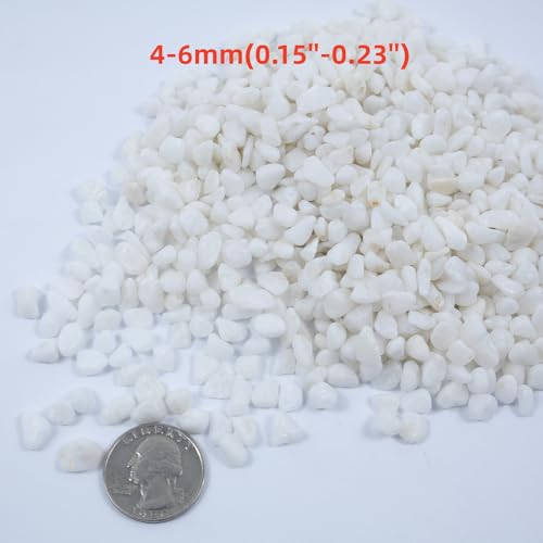 Colored Aquarium Gravel,Colorful Pea Gravel,Garden Rocks,Decorative Stones Rocks for Fish Tank,Aquarium,Fairy Garden Decor,Planters,Vase Fillers,Landscaping,1 Pound (White, 4-6mm) - color: White, size: 4-6mm
