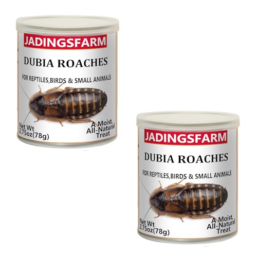 2 Pack Canned Dubia Roaches for Reptiles - High Protein Natural Pet Food for Turtles, Lizards, Birds and Small Animals, 5.5 oz Total