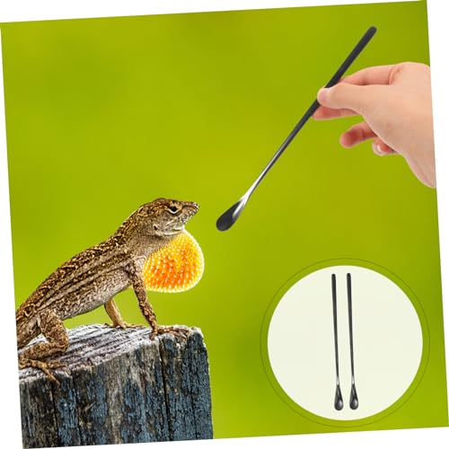 2pcs Stainless Steel Feeding Spoon for Reptiles Small Animal Lizard Pet Food Scoop Tool