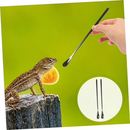 2pcs Stainless Steel Feeding Spoon for Reptiles Small Animal Lizard Pet Food Scoop Tool