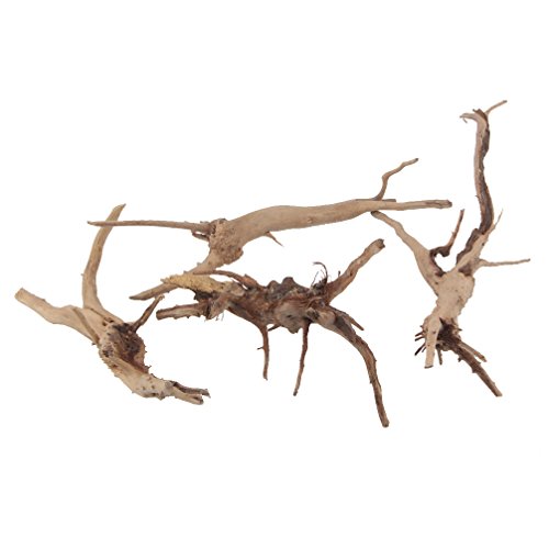 emours Natural Spider Wood Driftwood Vine Branches Reptiles Aquarium Decoration Assorted Sizes,Small,4 Pieces