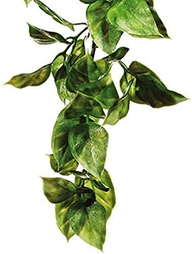 Hagen Exo Terra Plastic Terrarium Plant, Large, Amapallo - size: Large