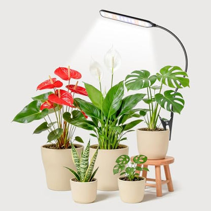Clip-On Grow Light for Indoor Plants, 52 LEDs, Full Spectrum | 6000K Rectangular Plant Light, Timer 6/12/16Hrs, 3 Spectrums, 5 Dimmable Levels, for Pot & Table, Flexible Gooseneck - size: 1Pack