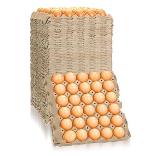 Economy Egg Cartons Bulk - 30 Cell Pulp Fiber Egg Flats for Chickens & Ducks - Reusable Stackable Cardboard Tray for Home Storing & Packing (65)